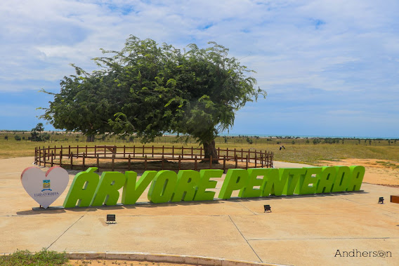 Piauí tem cidades representantes na primeira etapa do Programa Turismo Futuro Brasil